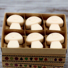 Load image into Gallery viewer, Natural Soy Wax Melts - Vanilla Nutmeg