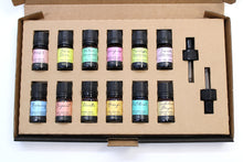 Load image into Gallery viewer, Aromatherapy Pure Essential Oil Gift Set - Top 12 Scents