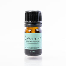Load image into Gallery viewer, Aromatherapy Pure Essential Oil Gift Set - Refresh & Revive