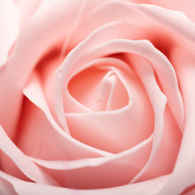 Load image into Gallery viewer, Soap Flower Bouquet - 13 Pink Roses