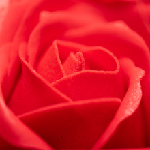 Load image into Gallery viewer, Soap Flower Bouquet - 13 Red Roses