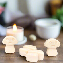 Load image into Gallery viewer, Natural Soy Wax Melts - Vanilla Nutmeg