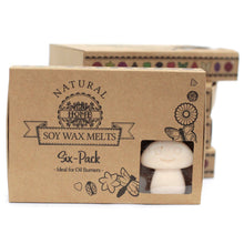 Load image into Gallery viewer, Natural Soy Wax Melts - Vanilla Nutmeg