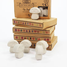 Load image into Gallery viewer, Natural Soy Wax Melts - Dark Patchouli