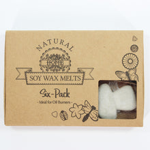 Load image into Gallery viewer, Natural Soy Wax Melts - Dark Patchouli