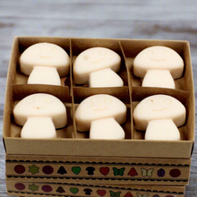 Load image into Gallery viewer, Natural Soy Wax Melts - Vanilla Nutmeg
